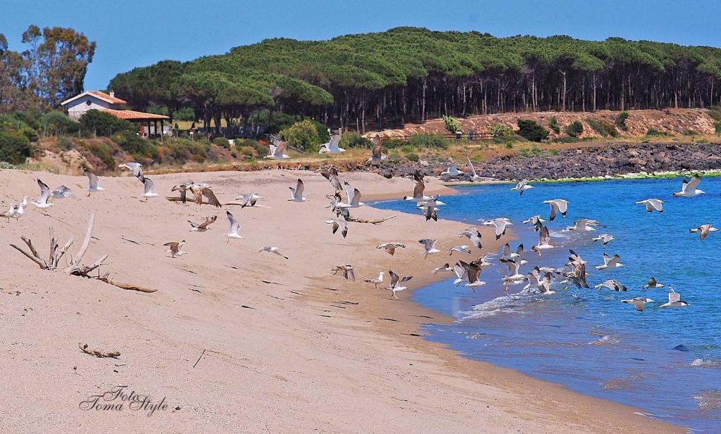 Hotel S'Ustiarvu- Nuova Gestione Cala Liberotto Zewnętrze zdjęcie